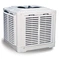 Commercial air cooler